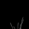 vehicle-image