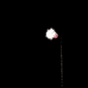 vehicle-image