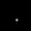 vehicle-image