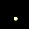 vehicle-image