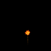 vehicle-image
