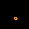 vehicle-image