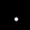 vehicle-image
