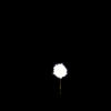 vehicle-image