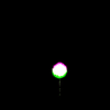vehicle-image