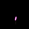 vehicle-image