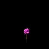 vehicle-image