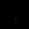 vehicle-image