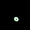 project-image