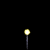 vehicle-image