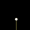 vehicle-image