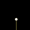vehicle-image