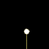 vehicle-image