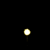 vehicle-image
