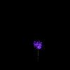 vehicle-image