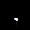vehicle-image